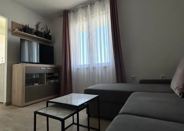Apartment Salov