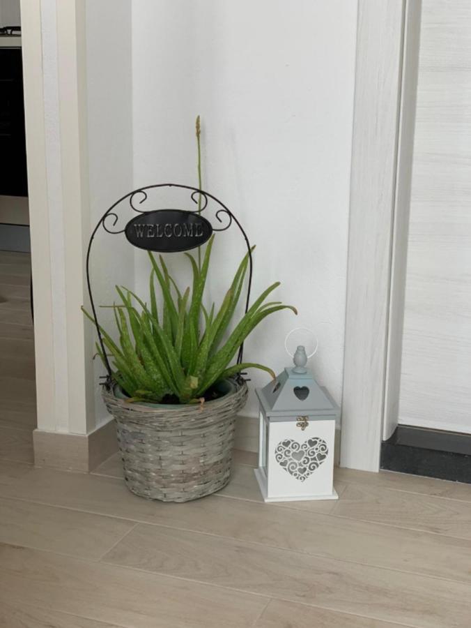 Apartment Salov