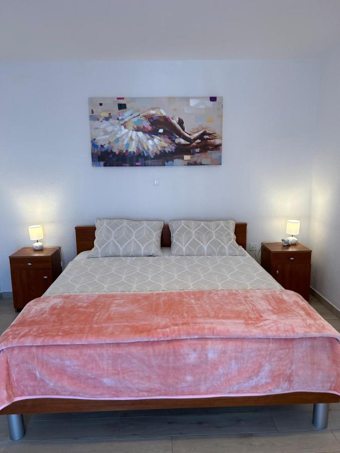 Apartment Salov *