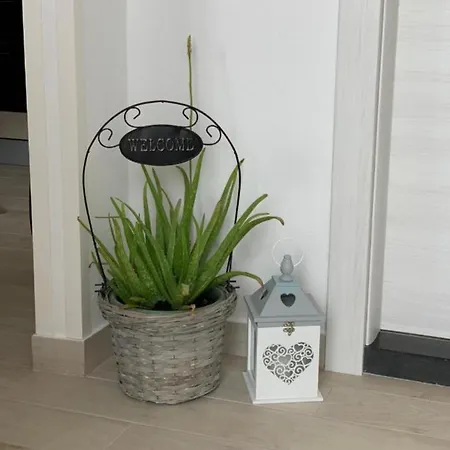 Apartment Salov Trogir Room photo